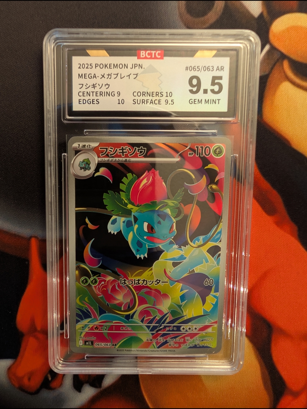Pokémon Graded Ivysaur JP